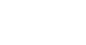 Blue Cross Blue Shield